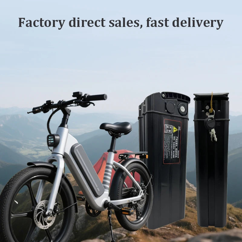 Extra Battery 48V