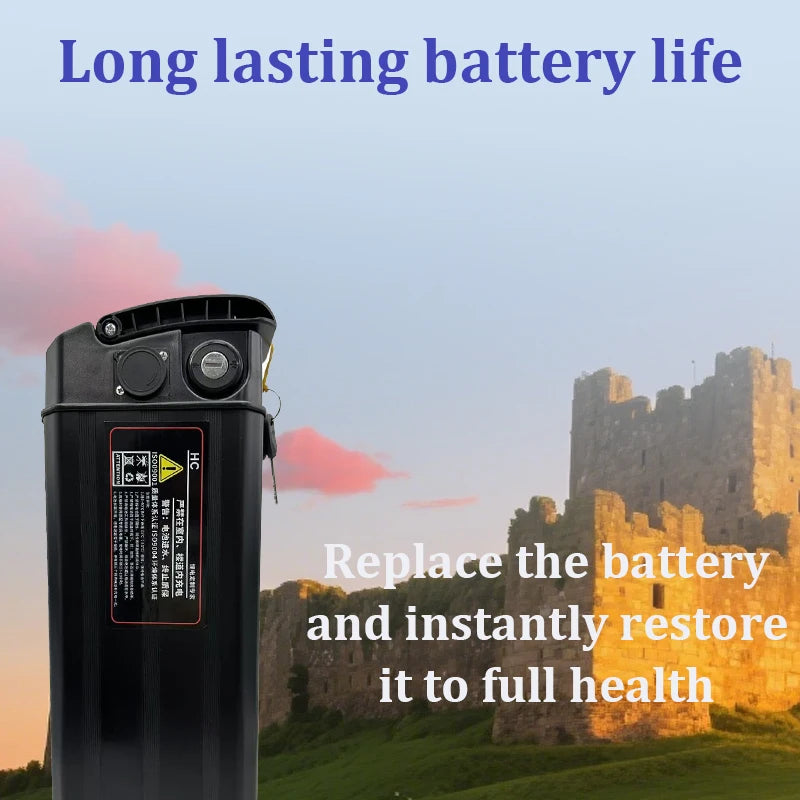 Extra Battery 48V