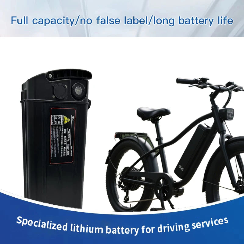 Extra Battery 48V