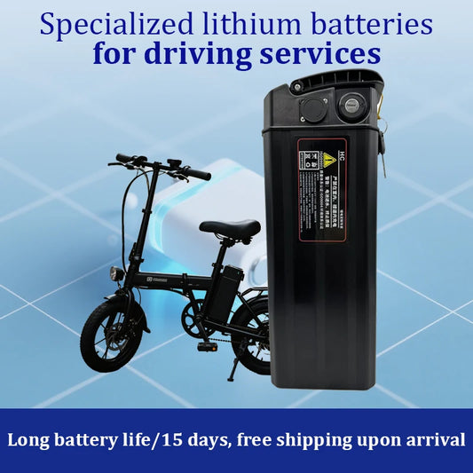 Extra Battery 48V