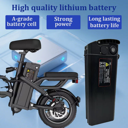 Extra Battery 48V