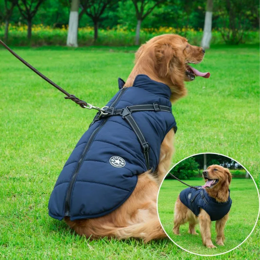 Dog Harness Waterproof Vest Jacket: Multiple Sizes: 5 Styles